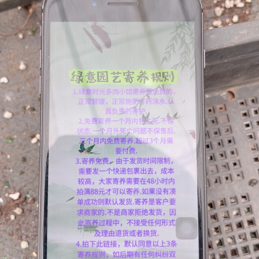 玲***硃绿意时光寄养链接