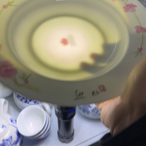 陶瓷8寸手绘深盘一个