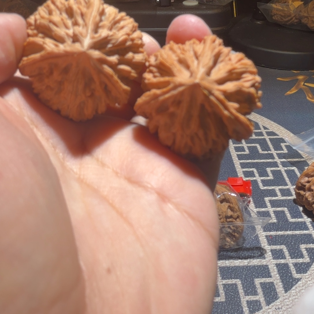 把件文玩核桃御龙正奔