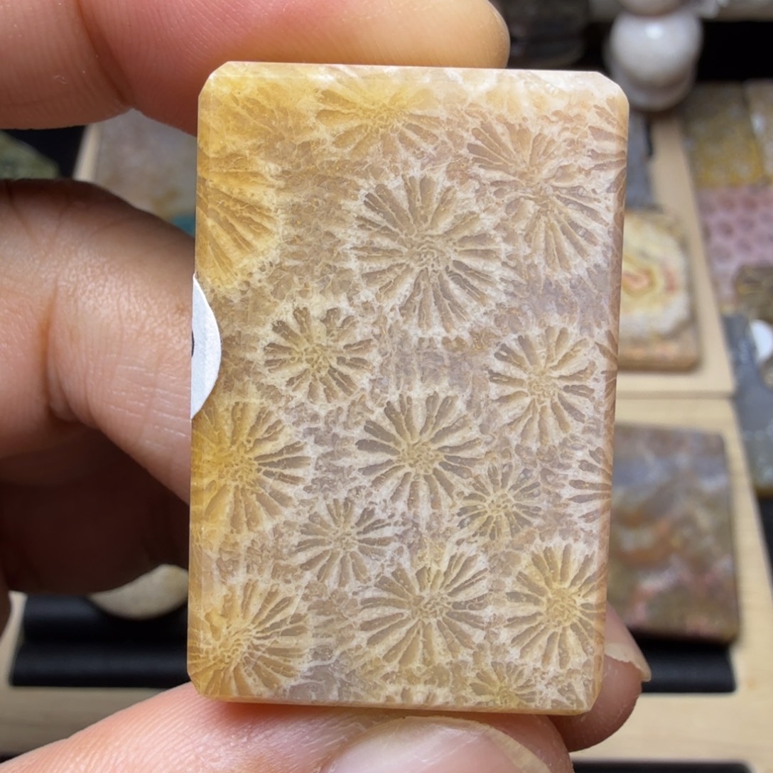 硅化玉未镶嵌纯天然色有机玉石保真色