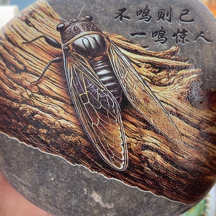 石材知了摆件这么好