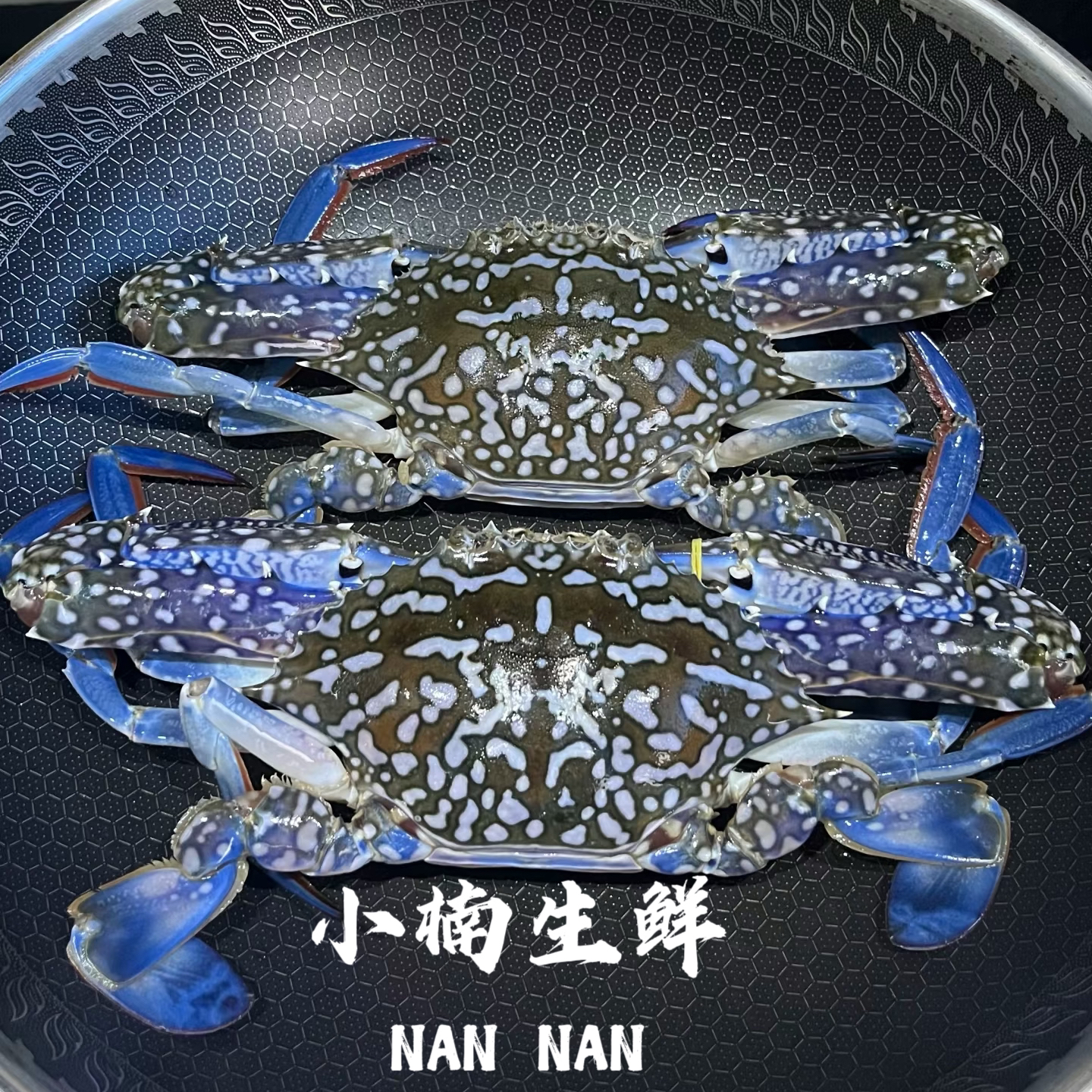 鲜活兰花蟹远洋梭子蟹单只4两约200g左右一只一份【保鲜不保活】