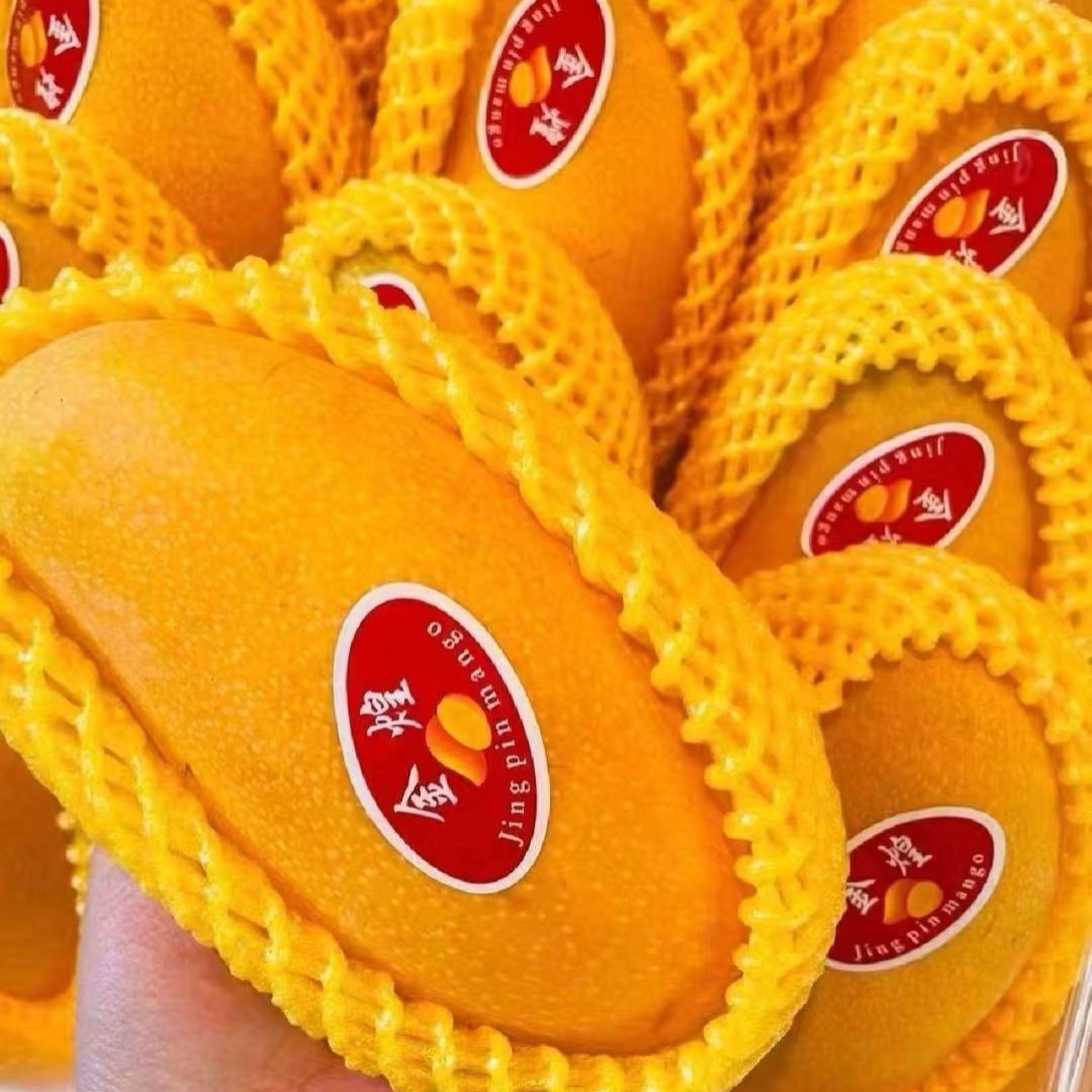 金黄芒一个 1 斤左右