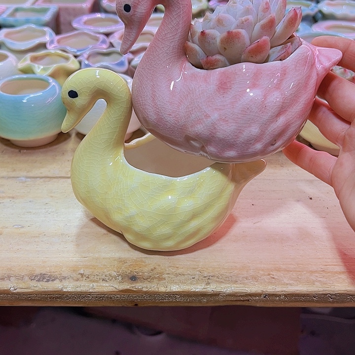 陶瓷花盆当场凑满12包邮