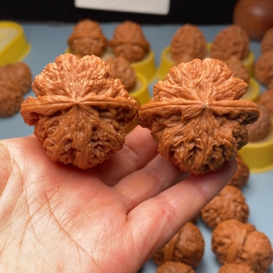 左***右文玩核桃吊坠粗筋红皮 44 50克