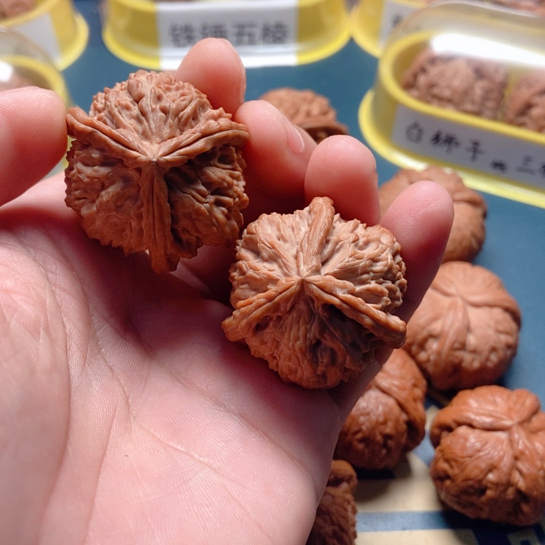 文玩核桃把件✨白奔39