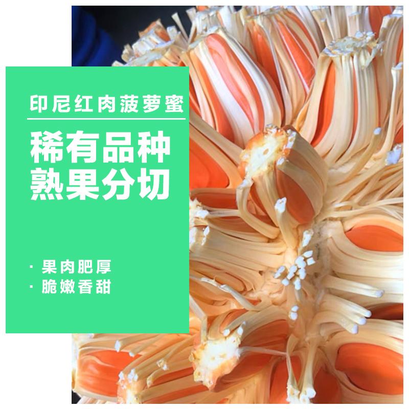 只发川渝&B2越南印泥红直播开果称重红肉菠萝蜜当季特产新鲜水果