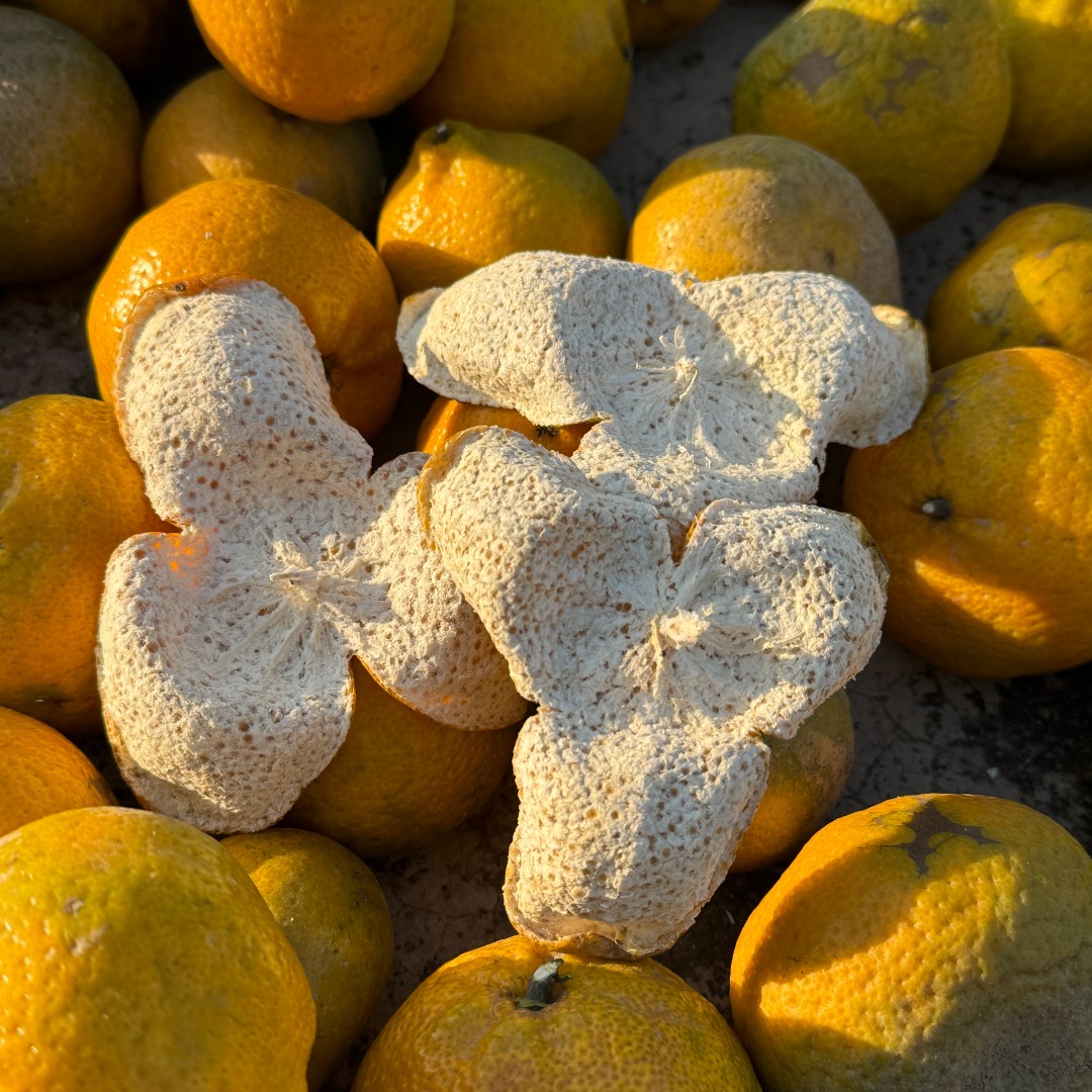 【17年老树】新会天马老树大红皮2025新皮一线核心产区天然生晒