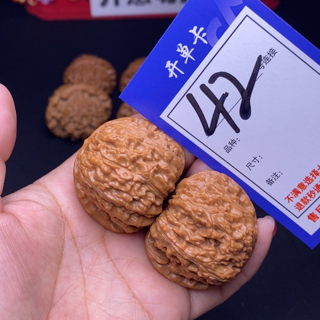 42号链接白狮子4.1尺000000