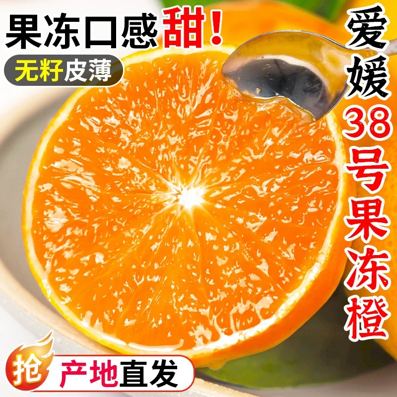 G2四川爱媛38号果冻橙新鲜水果当季皮薄爆汁水果彩箱柑橘手剥橙