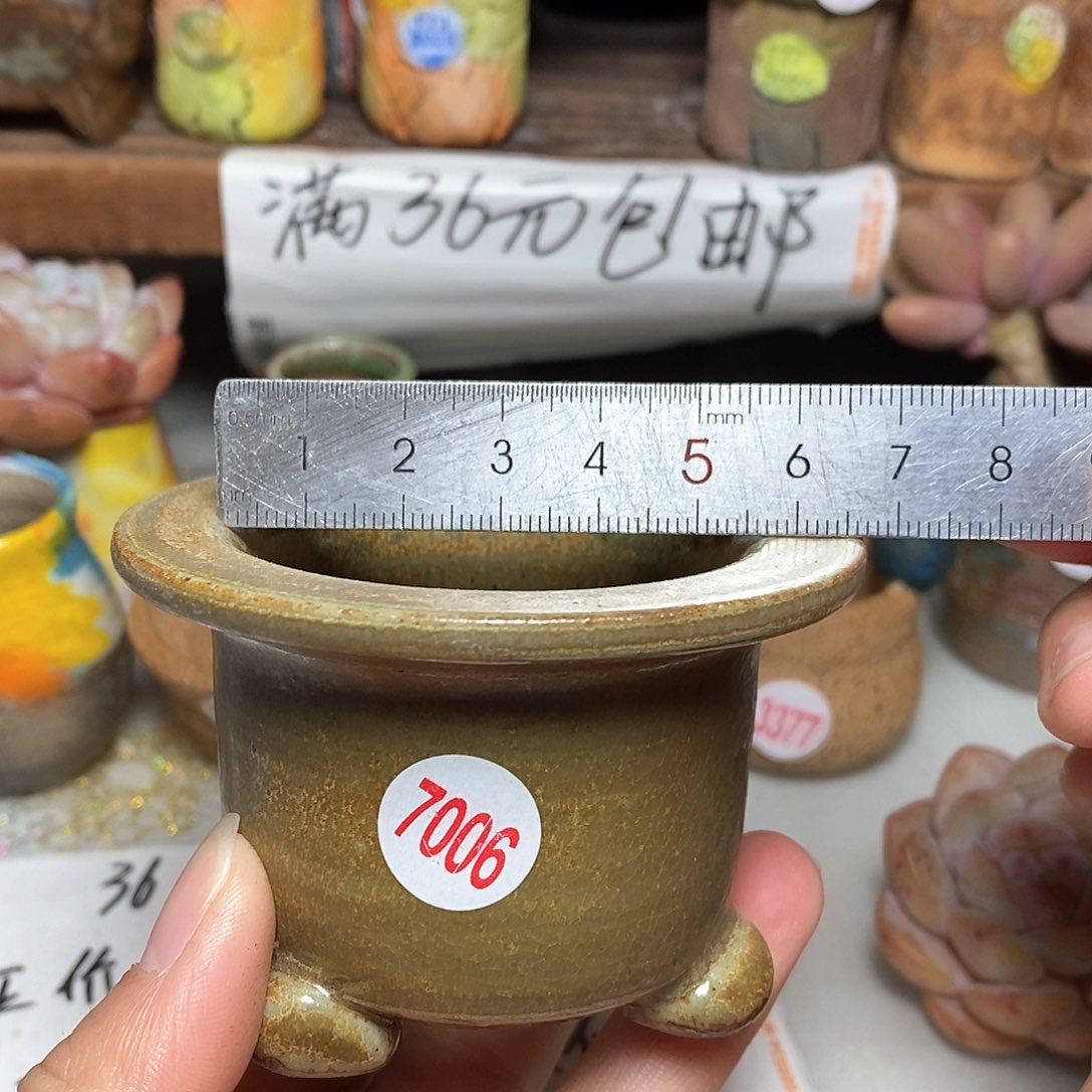 红陶拍5送一个小