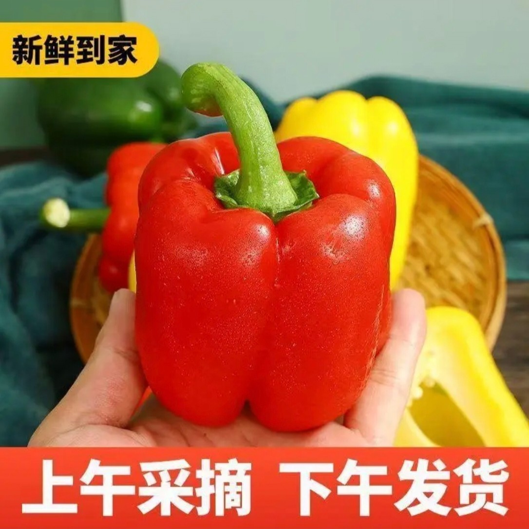 顺丰包邮现摘现发精品寿光红黄彩椒生吃不辣甜椒辣椒优质农产品