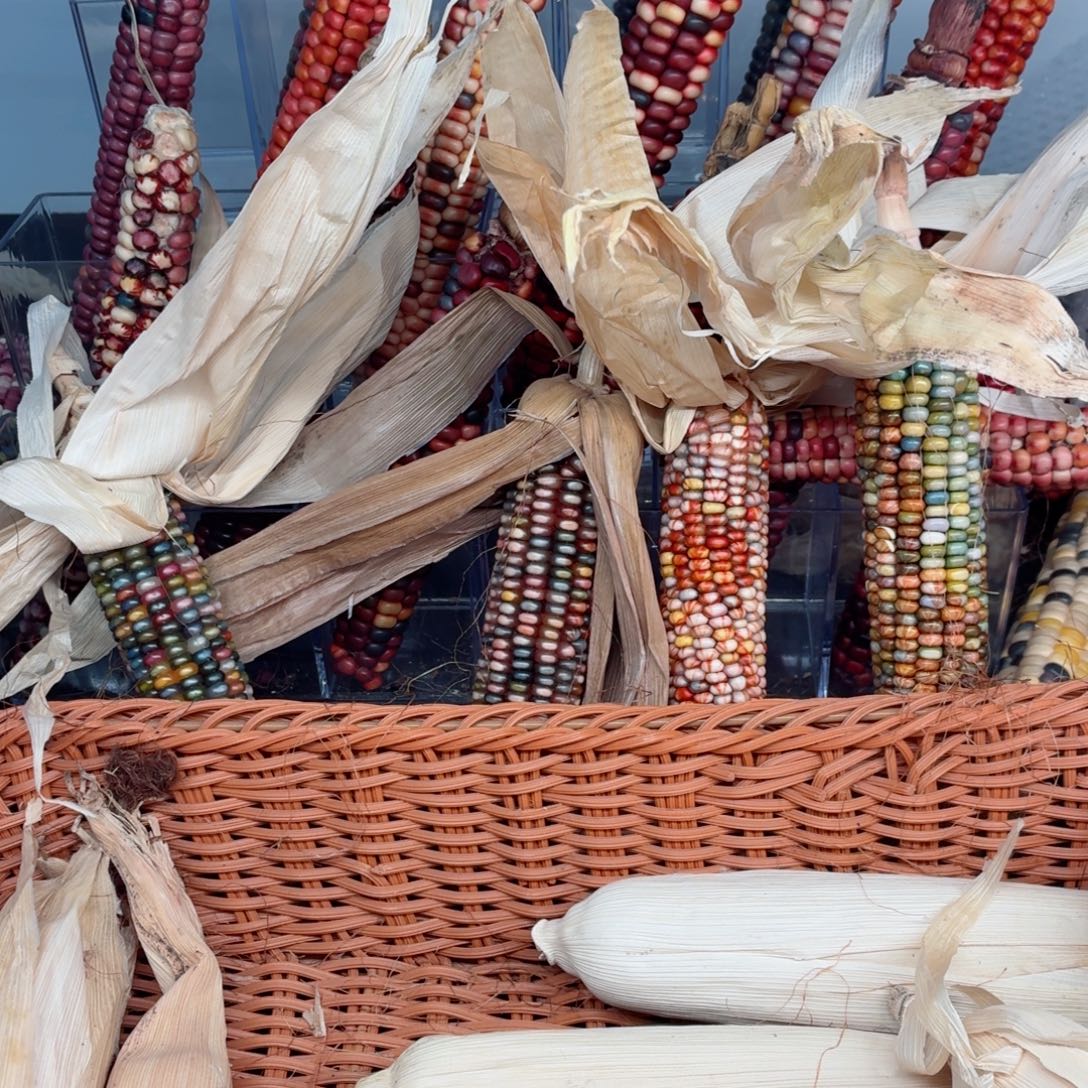 大***k白玉菩提吊坠文玩精品文玩精品