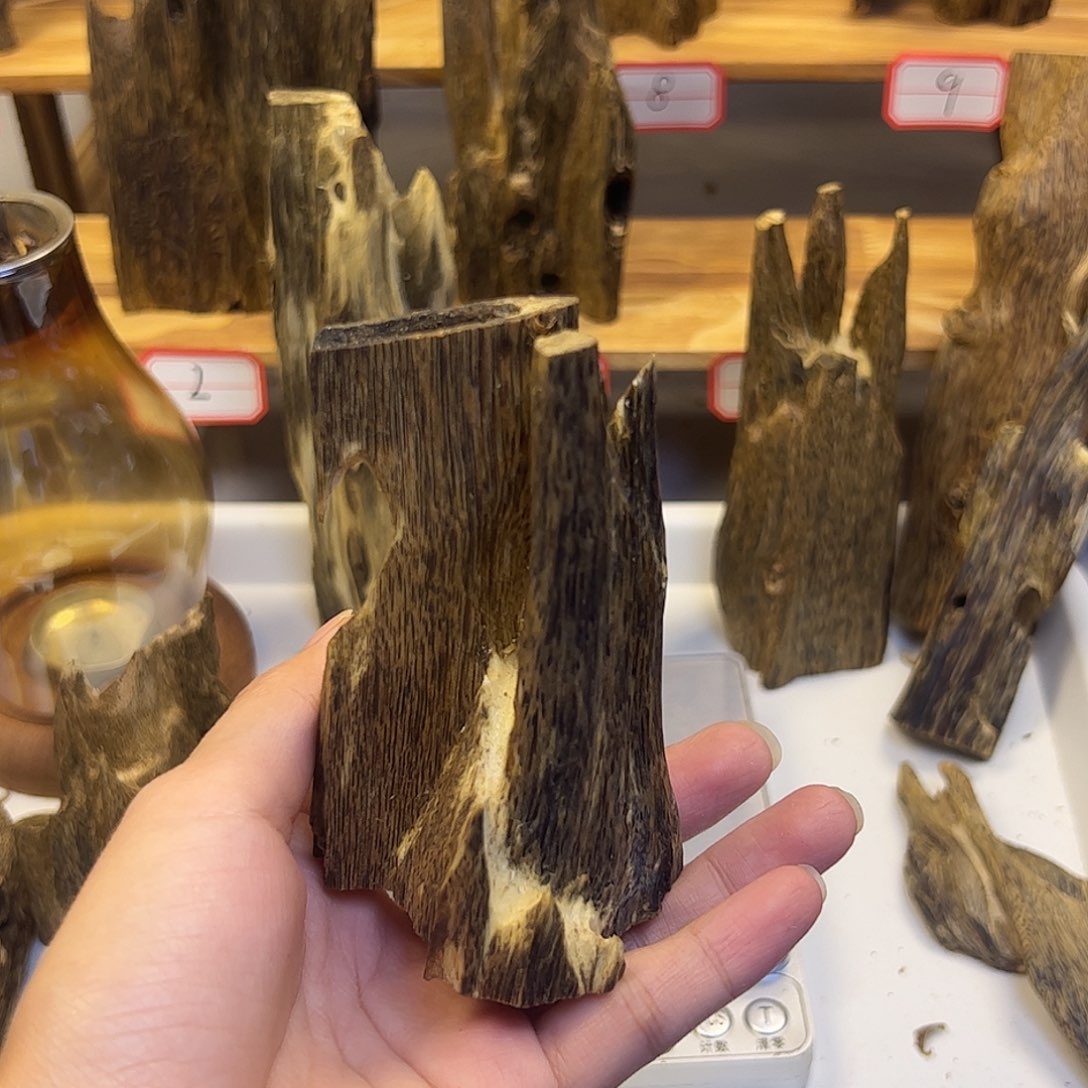 ℳ***⸙沉香沉香碎屑乌身圆叶 40.5克 