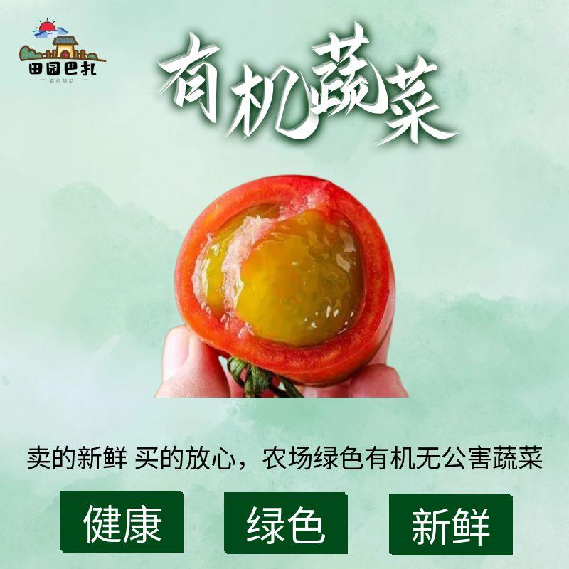 【有机时令】草莓西红柿现摘先发