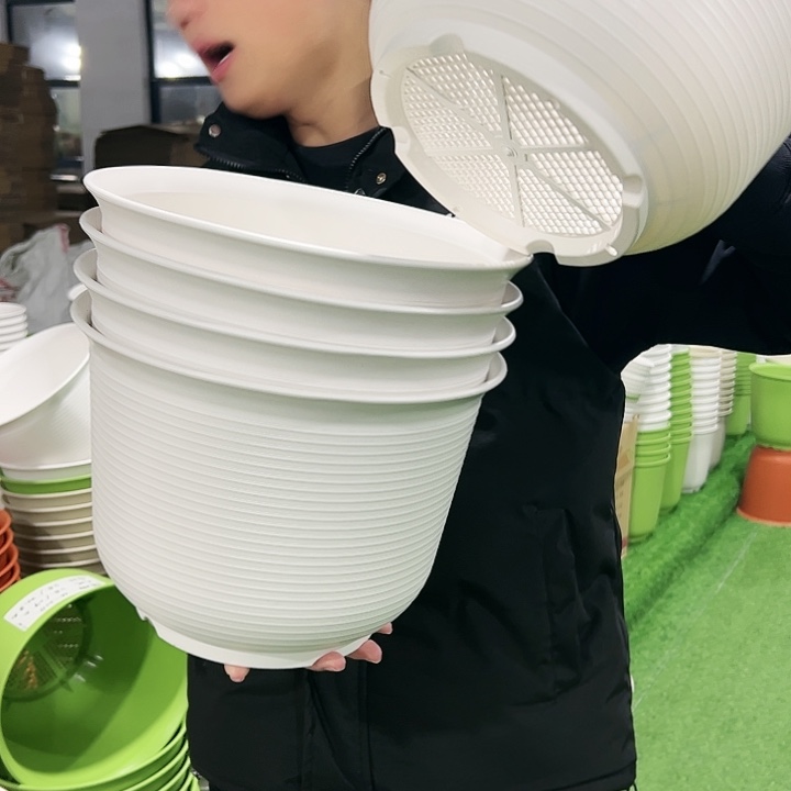 正品矮陶口30高22白色5只无托