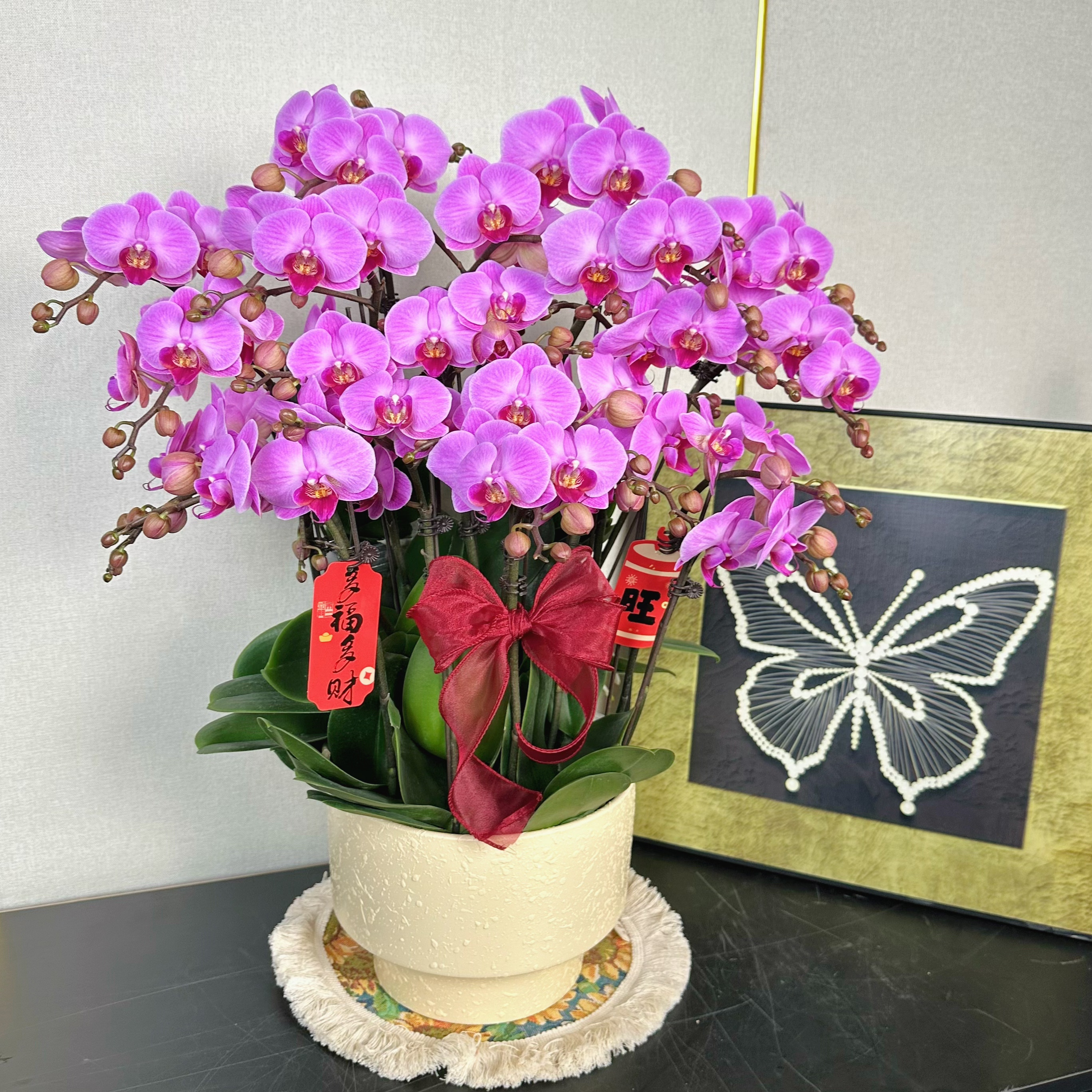 花汐蝴蝶兰【粉钻】乔迁之喜 开业送人带花基地直发