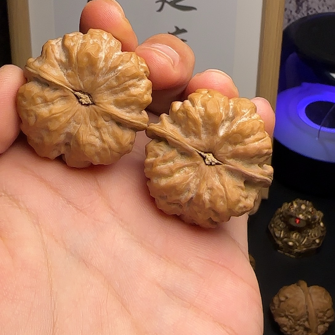 碎***两36✖️37红皮全品蛤蟆