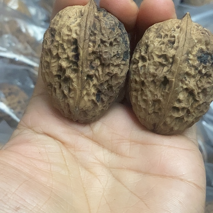 文玩核桃把件云南铁核桃基地13