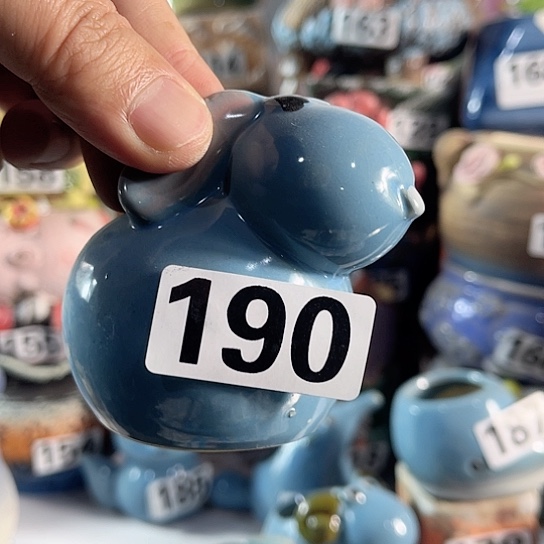 红陶多肉植物花盆