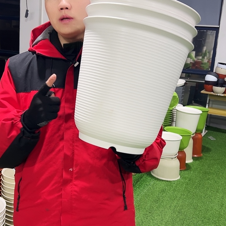 正品高陶口30高31白色3只无托