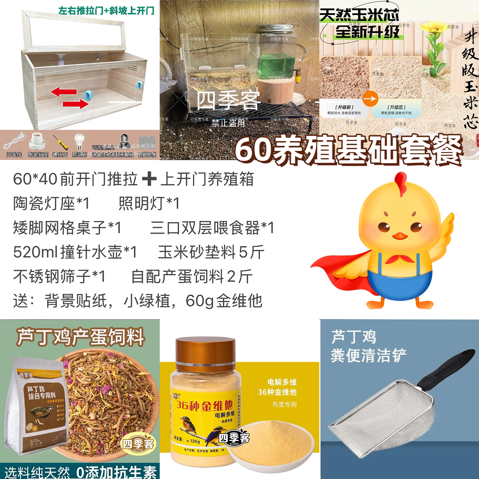 网红鸡芦丁鸡养殖新手入门一站式配齐无忧购平顶箱子上开网格门