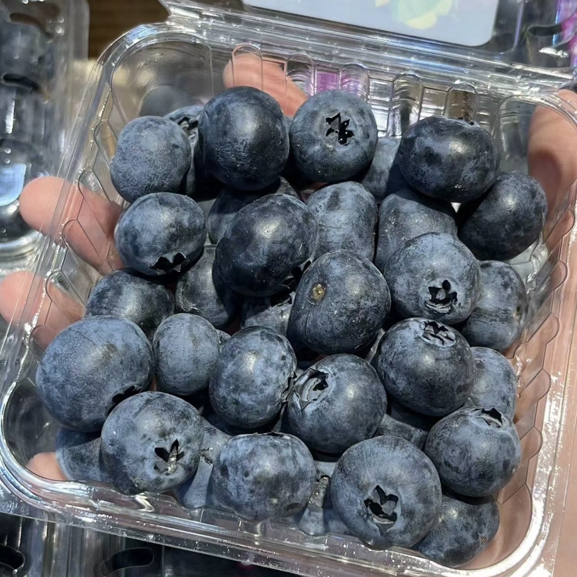 【咸宁小时达】蓝莓*1盒（约125g)云南省