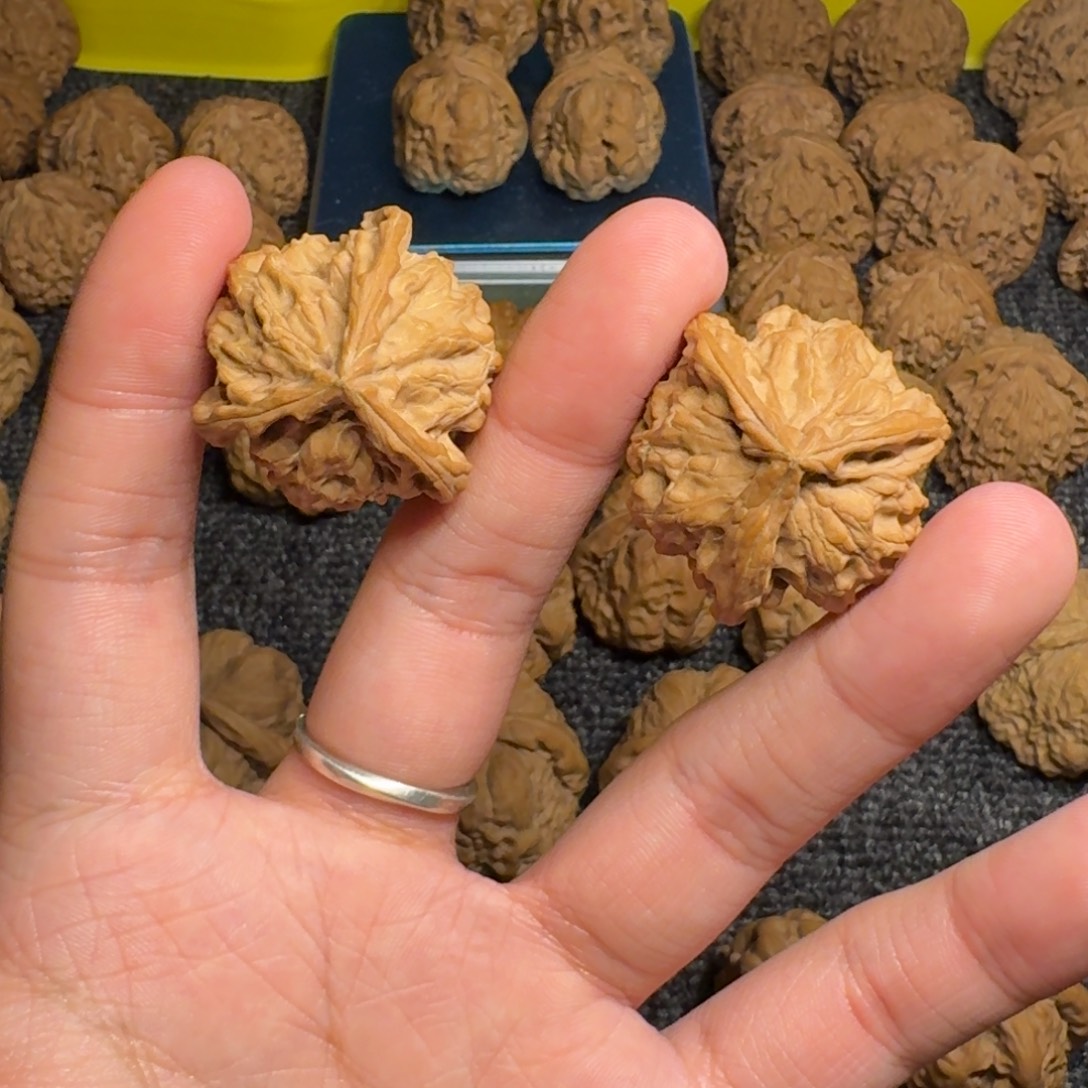 文玩核桃吊坠35尺正奔三棱直播间专属