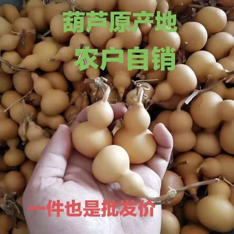 草里金葫芦手串【直播间一物一拍】
