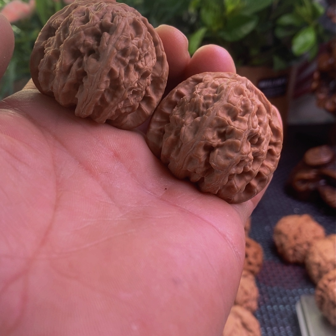 文玩核桃 球白 全品