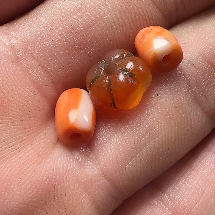 我们都是在等你们过来一起看