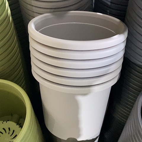 特价5号6个无托灰白