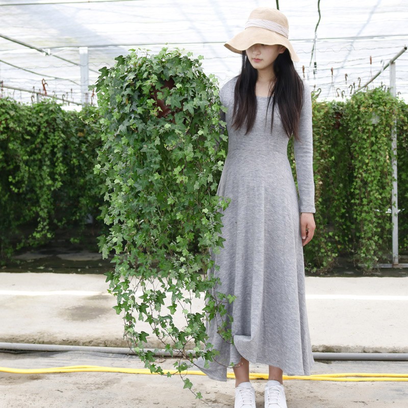 常春藤垂吊植物室内外净化空气四季常青好养易活绿植盆栽