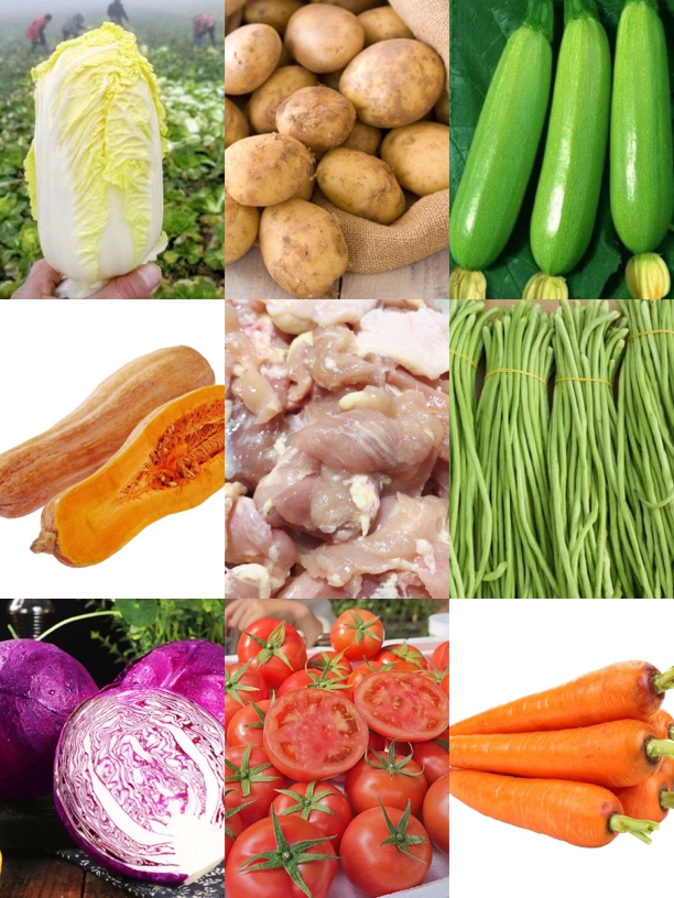 【狗狗明信片】【蔬菜】各种蔬菜 营养又健康 宠物粮