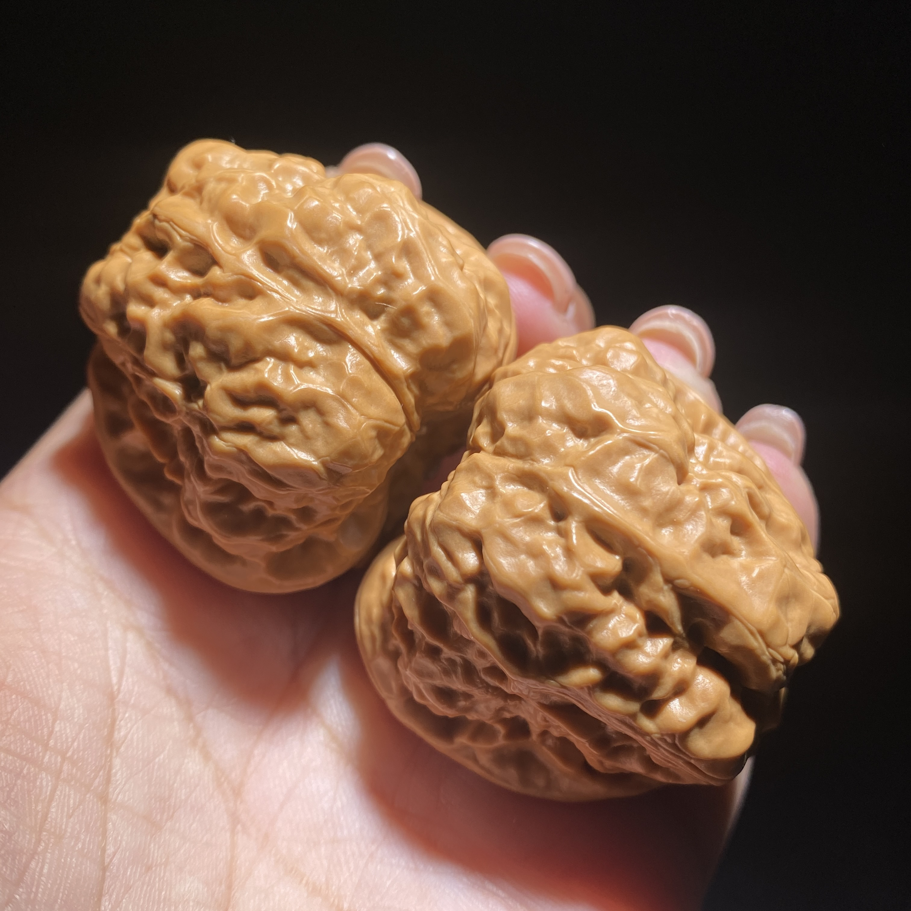 编号3190金蟾蛤蟆头精修精打底边39肚41多高36