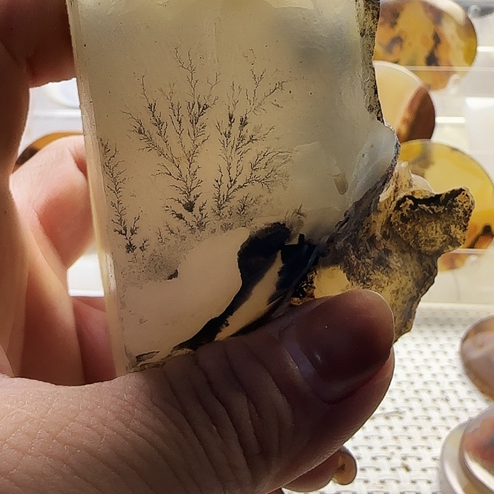 根***者玛瑙/玉髓未镶嵌珠宝奇石