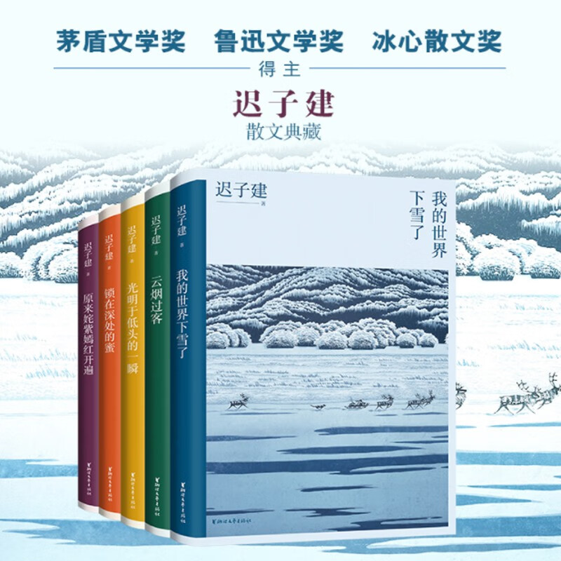 【新华书店】迟子建 系列作品集 茅盾文学奖 现代当代文学散文集