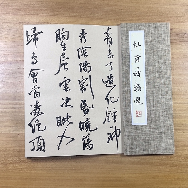 书法中书协会员作品