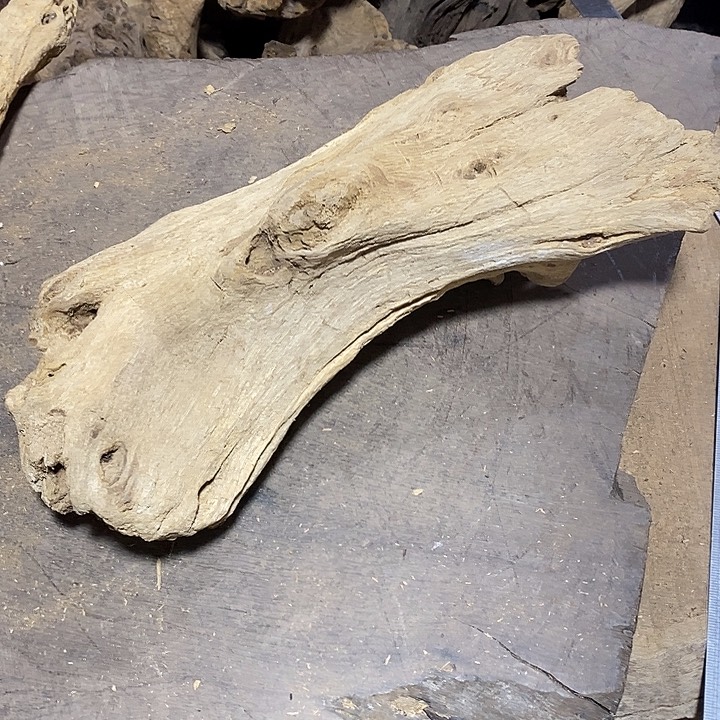 乌木类金丝楠小叶