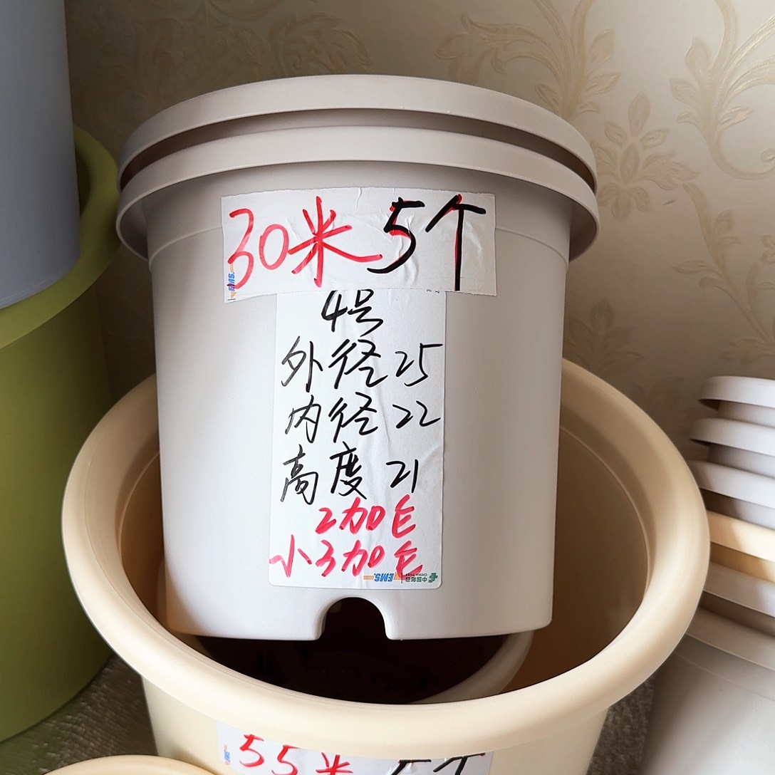 灰白色4号无拖8个