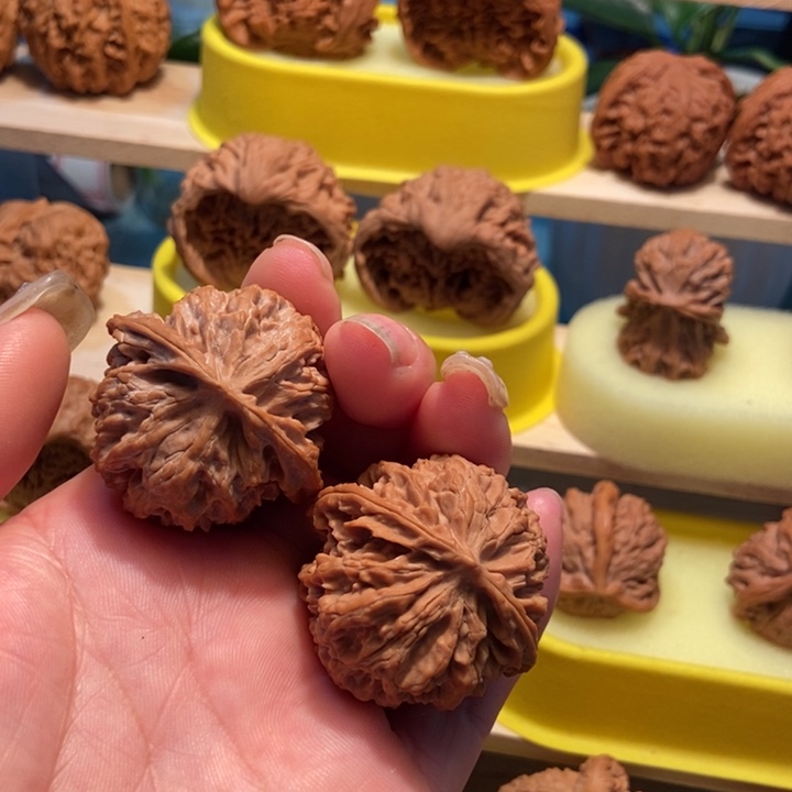 官方网站发布消息显示