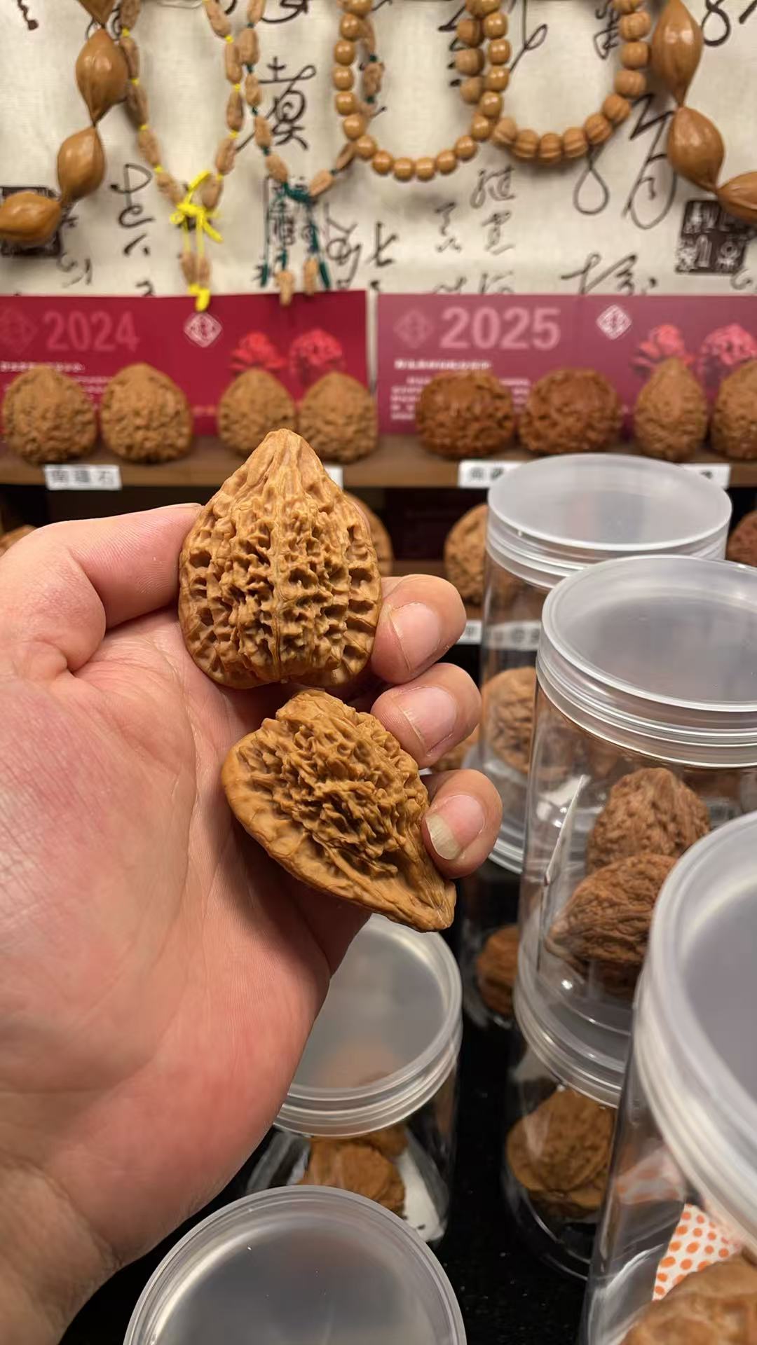 40全品中条山鸭嘴兽