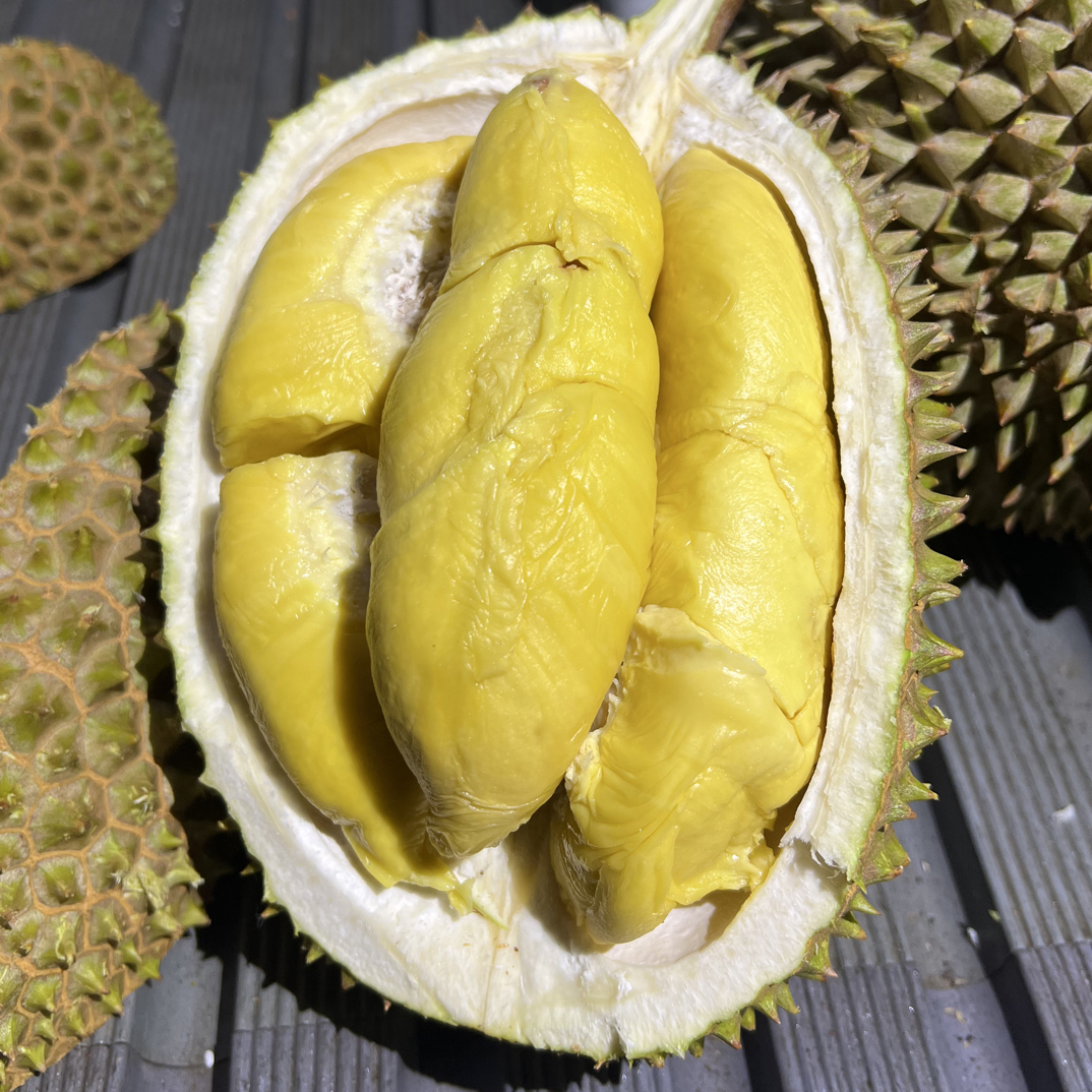 【东莞】猫山王鲜榴莲马来西亚劳勿产区1.5-5.5斤，核小肉多（一物一拍）猫山王马来西亚