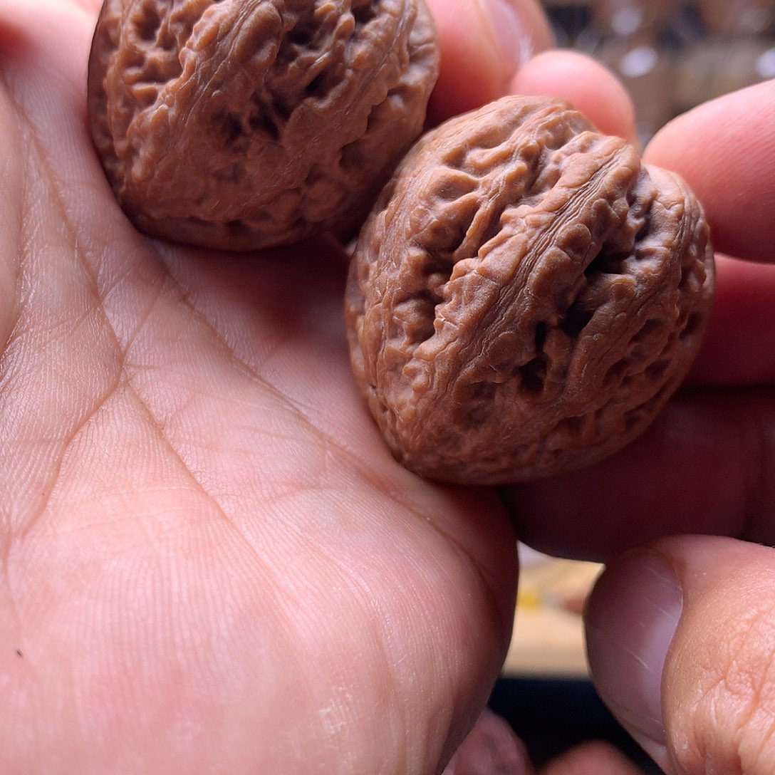 文玩核桃把件东北楸子文玩核桃