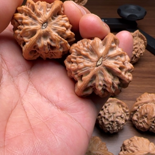 柏香籽/百香籽吊坠毛*40秦闷狮子头