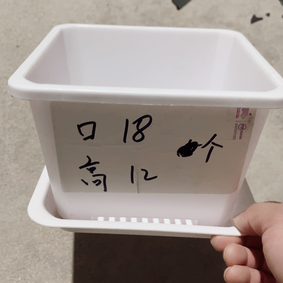塑料升级款景天18方白色盆10带托盘