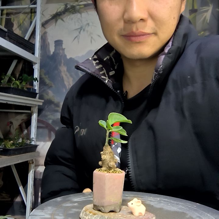 豆***薯中青园艺一物一拍花160