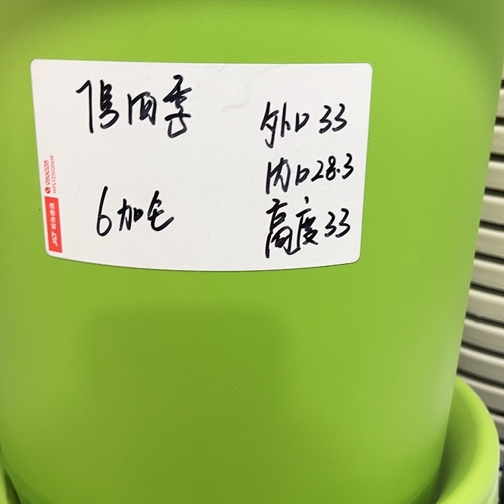 特价7号口33高33果绿6只无托