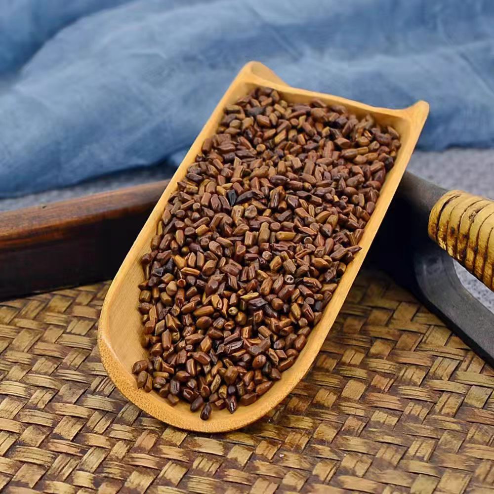 云南决明子茶草决明精选特级