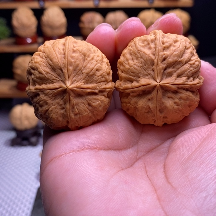 木质类云铁凹江龙四棱24号